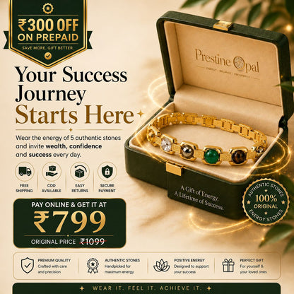 Rinmukteshwar Siddh Metal Dhan Yog™ Bracelet – Silver Plated